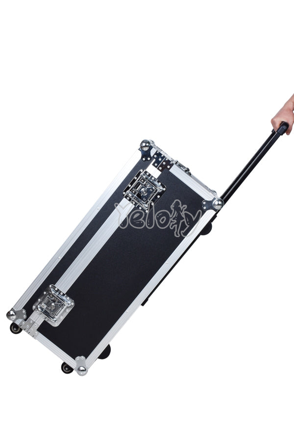 Yeloly Aluminum Aviation Trolley Case