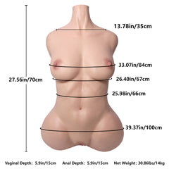 Yeoly B7 トルソーサイズ